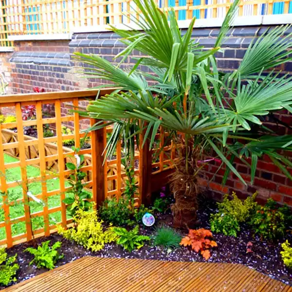 Planting 